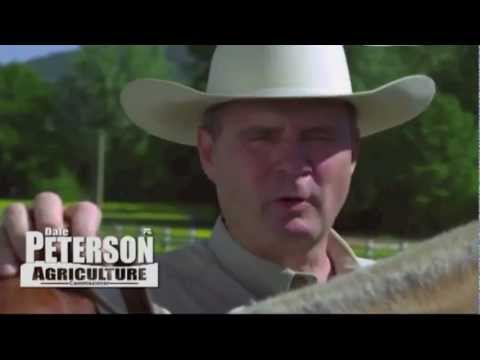 Dale Peterson Gets High, Steals Yard Signs