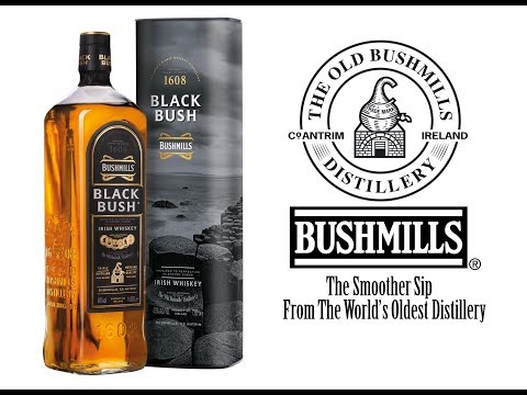 download lagu mp3 mp4 Bushmills Viski, download lagu Bushmills Viski gratis, unduh video klip Bushmills Viski