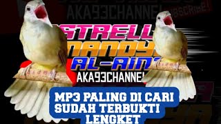 Download lagu 🔴suara pikat burung kapas tembak di jamin lengket mp3