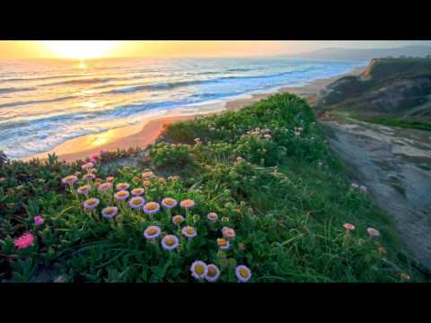 Veselin Tasev - Pacific Waves (Original Extended Mix)