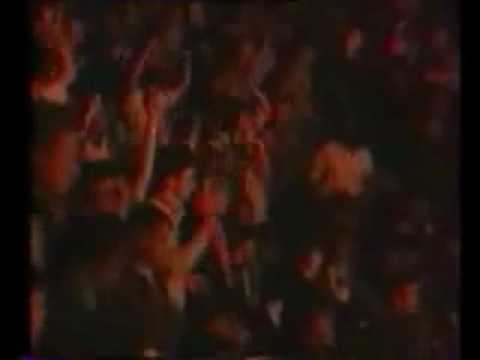 Indochine - L `aventurier ( Live au Zenith 1 986 )