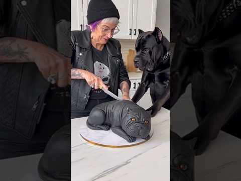 😂🐶Reacción de mi Presa Canario al cortar el pastel 🍰