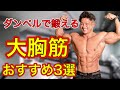 【筋トレ】ダンベルだけで大胸筋に効かせるトレーニング3選【胸トレ】