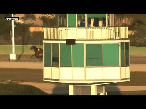 Corsa proprietari 1 - martedì 14 febbraio 2023