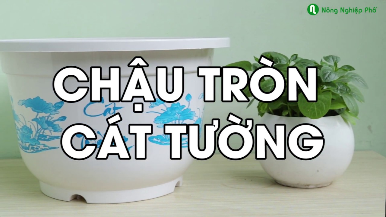 Chậu tròn in cát tường HD 35x23H