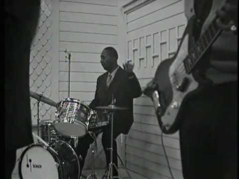 Wild About You - Hound Dog Taylor w. Little Walter 1967
