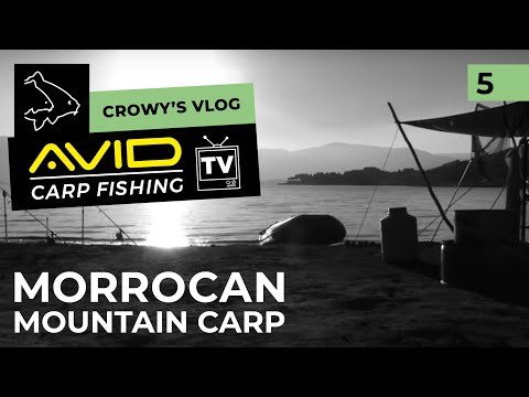 Avid Carp Fishing TV! | Crowy's Vlog! | 005 | Moroccan Mountain Carp!