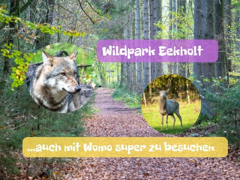 Naturerlebnis Wildpark Eekholt - auch mit Womo super zu besuchen