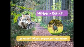 Naturerlebnis Wildpark Eekholt - auch mit Womo super zu besuchen
