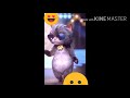 Cat Dance Comedy For Whatsapp Status