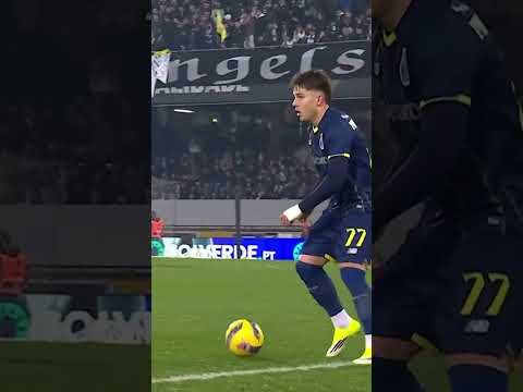 ZEWNIAK PIETUSZEWSKIEGO