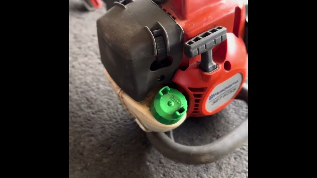 Élagueuse sur perche