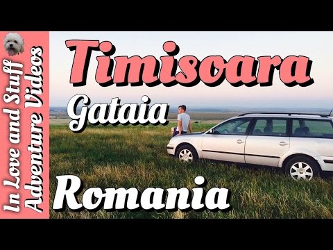 Timisoara | Gataia | Romania