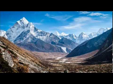 Jelly For The Babies Feat. Vuk Lazar - She Loves Me (Dub Mix)