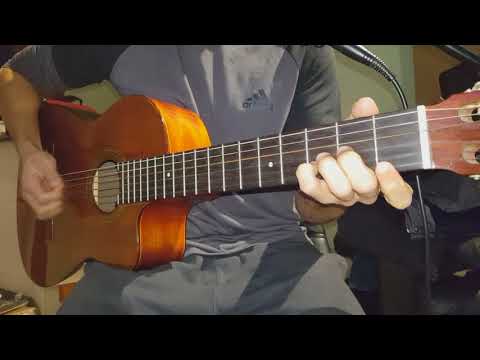 La moda no es vanguardia - Indio Solari - Cover - Guitarra