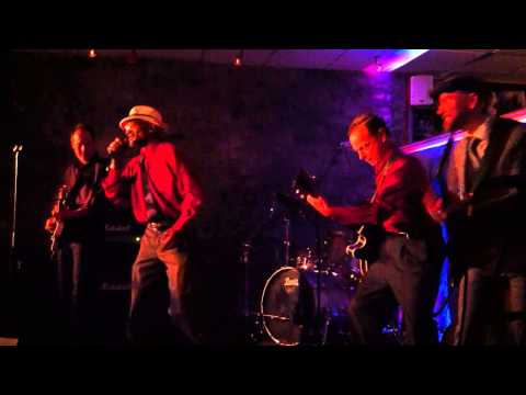 Thumbnail for Birdlegg - Why I sing the blues
