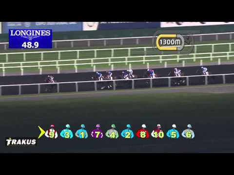 23.01.2014 Meydan (Dubai-UAE) 4.Race Xpress - Handicap 2.000 m