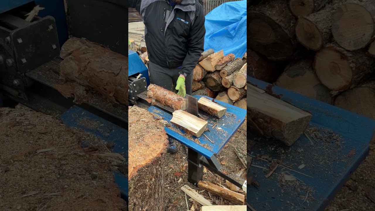 Eucalyptus: 1 Axe: 0