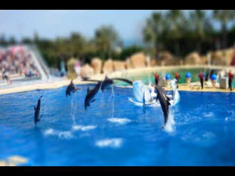 TM Juke - Pencils For Dolphins (Wyndham Earl Mix)