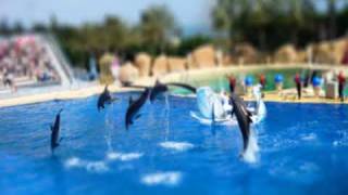 TM Juke - Pencils For Dolphins (Wyndham Earl Mix)