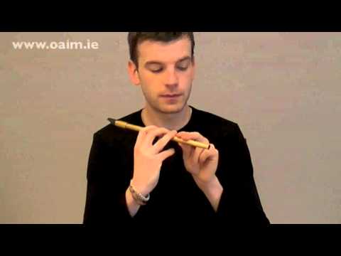 Expert Irish Tin Whistle Lessons Tutorials from Online Academy of Irish Music with Thomas Johnston