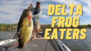 California Heatwave Fishing: When Hot Weather Turns Fish into Frog Hunters!