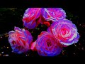 Omar Akram - Stargazers