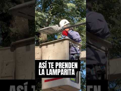 ¿Problemas con las luces en la plaza? Solucionado ✅
