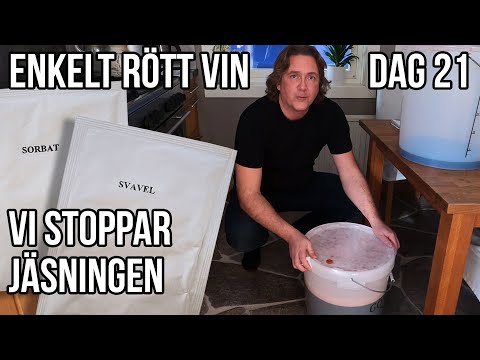 Brygga enkelt rött vin - dag 21