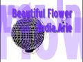 Beautiful Flower - India.Arie 