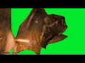 Cloverfield Monter Green Screen 1