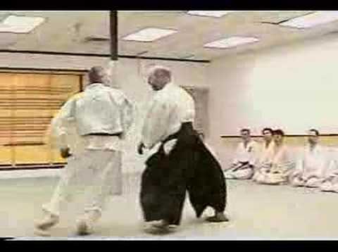 Mustard Sensei 7th dan