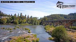 Umpqua Fish - Live Bridge Cam
