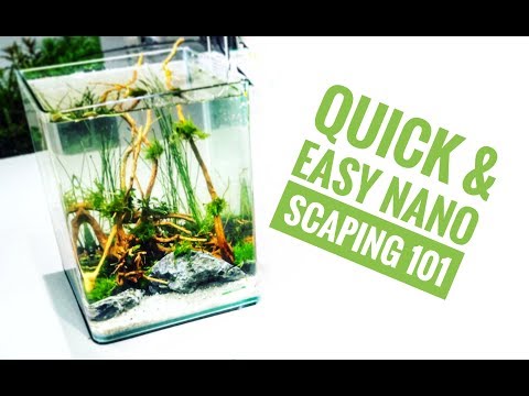 Watch Video on YouTube