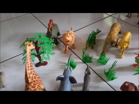 Mengenal Nama Binatang / Hewan Video