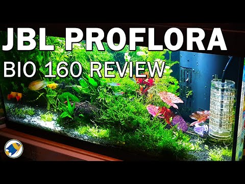 JBL Proflora Bio 160 Review | Budget CO2 System for Beginners - MR BRIGHTFRYED
