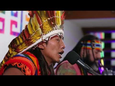 Andado da Jiboia   Nawa Siã Huni Kuin   Pinu Huya Keneya   Casa Hairá - Ayahuasca