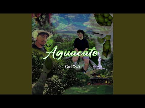 Aguacate