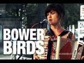 Bowerbirds "Teeth" | indieATL session