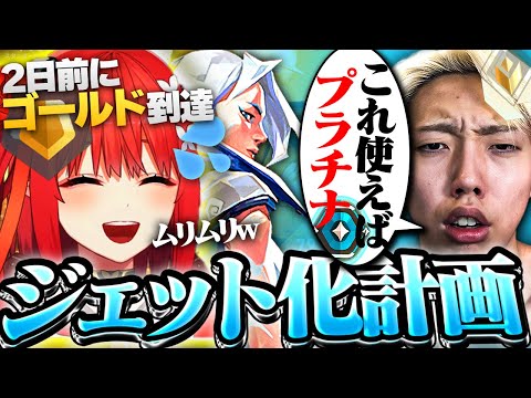 【現レディが教える】これを学べば低ランクを抜け出せる！最強のジェットの使い方を心白てとさんに伝授します。【VALORANT / ヴァロラント】