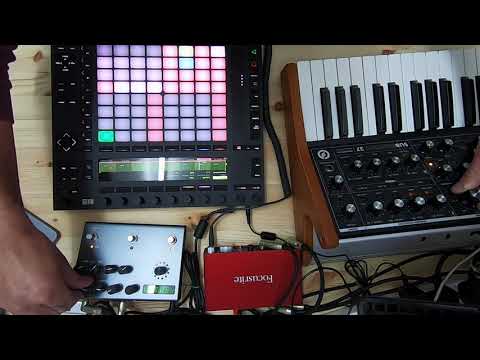 techno jam with push 2, subsequent 37, strymon timeline Video
