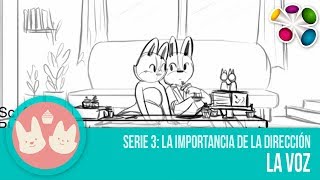 Como se hace un Corto animado - La importancia de la dirección (Video 3 de 3)