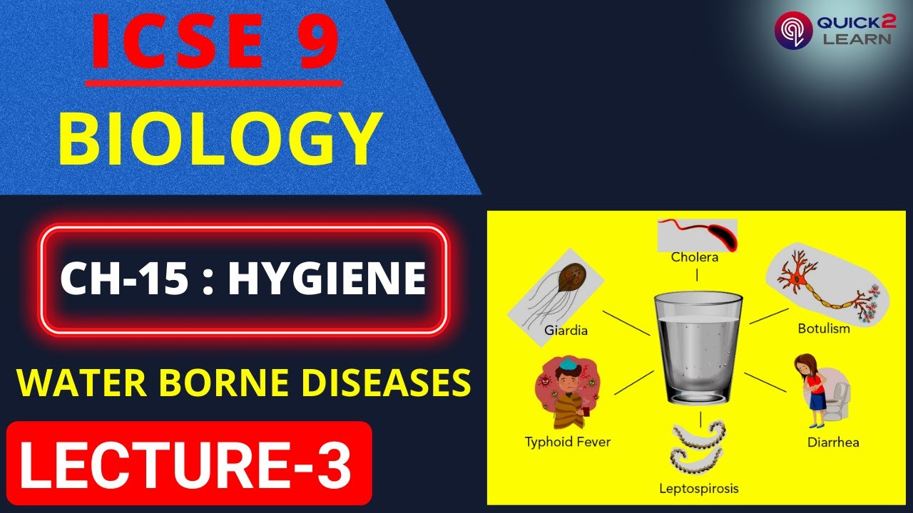 ICSE 9 BIOLOGY CH-15(HYGIENE) |icseclassixbiology|icse9biology|personal hygiene|water borne diseases