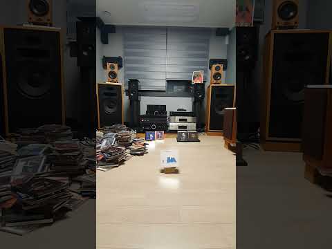 Muriel Zoe - You Don't Know What Love Is