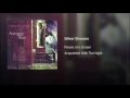 Pieces of a dream - Silver dreams