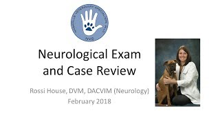 An in-depth review of how to conduct a neurological exam in the veterinary patient