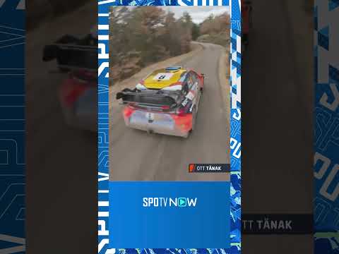 [WRC] 2025 WRC 새로운 구도로 즐기는 역동적 레이스!