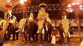 തലയെടുപ്പോടെനിന്നിട്ടും പാവം കേശവനുകിട്ടിയതോ ഒരു അടി | #GuruvayoorValiyaKesavan #KeralaElephants video