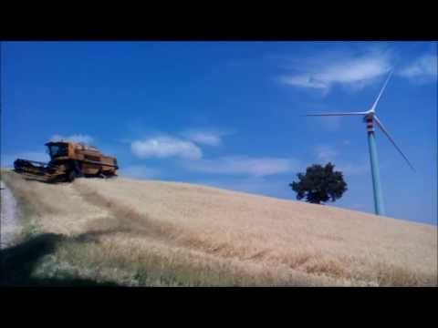 CLAAS/CAT 198 VX LIMITED VERSION [HARVEST SEASON 2016] ITALY