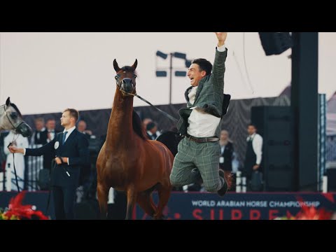 𝗗𝘂𝗯𝗮𝗶 𝗦𝘁𝘂𝗱 & 𝗔𝗿𝗮𝗯𝗶𝗮𝗻 𝗜𝗻𝘀𝗶𝗱𝗲𝗿 𝗽𝗿𝗲𝘀𝗲𝗻𝘁: 𝗧𝗛𝗘 𝟮𝟬𝟮𝟱 𝗦𝗘𝗔𝗦𝗢𝗡 𝗙𝗜𝗟𝗠